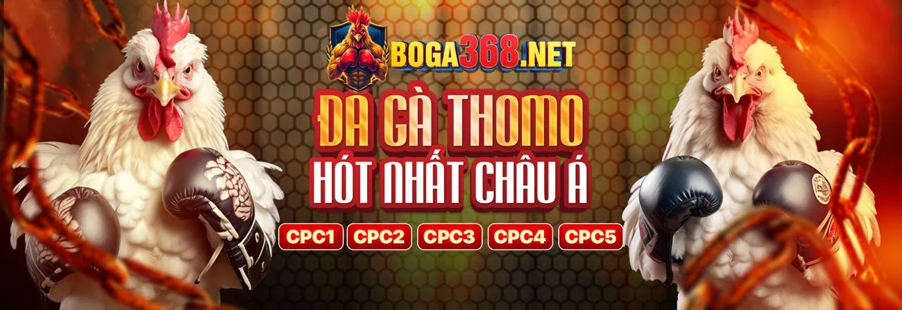 Đa dạng các môn thể thao tại to888 casino